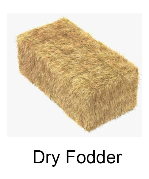 Dry Fodder